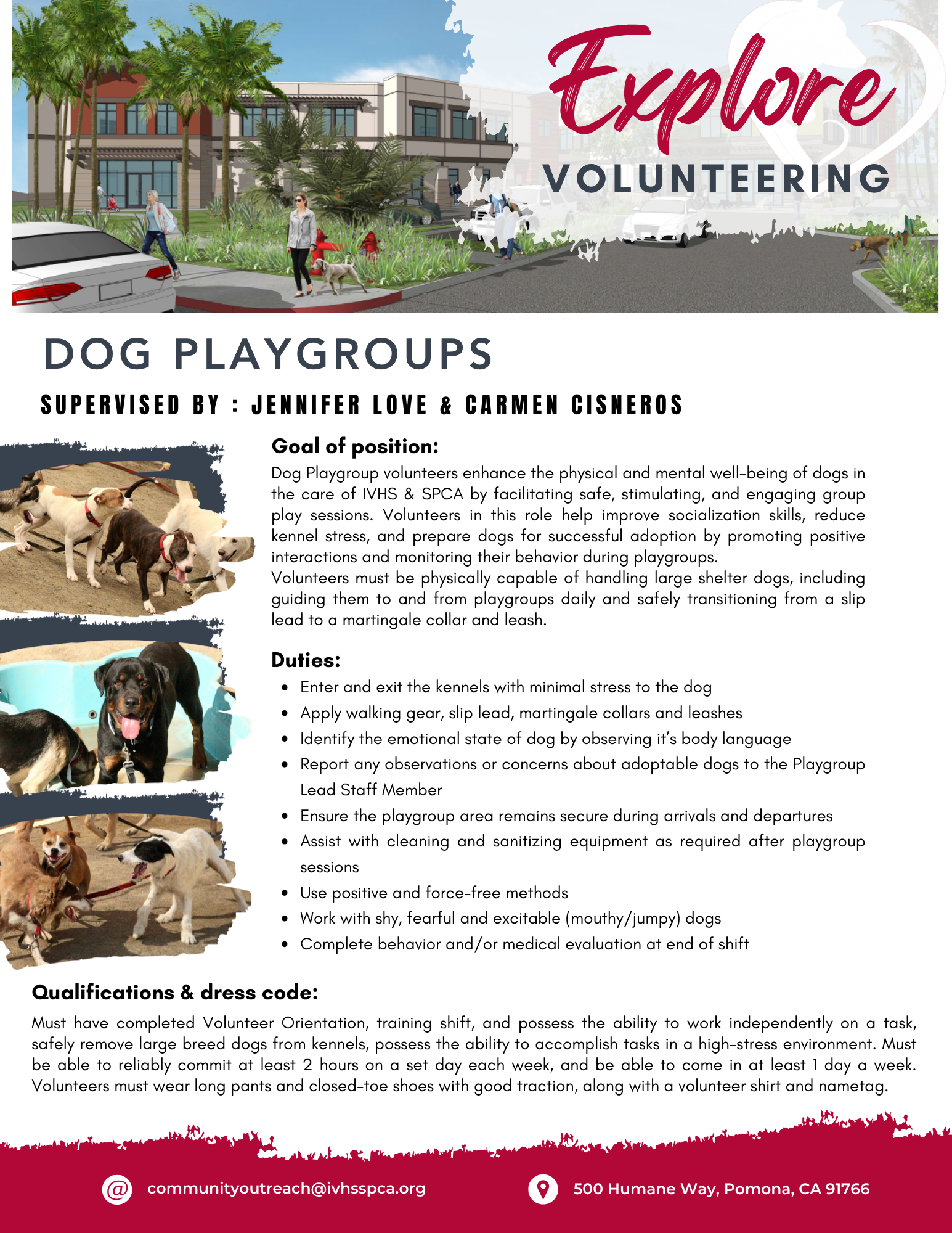 Volunteer Handbook 2025 (2)